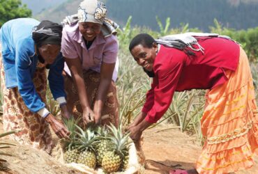 Misons sur l’Agriculture Familiale