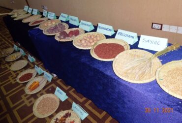 The National Reference Group calls for a sustainable seed system inclusive of smallholder farmers in Rwanda