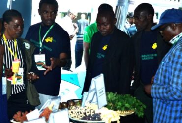 Acord Rwanda souligne qu’Umuganura est une opportunité de plaider en faveur des semences traditionnelles